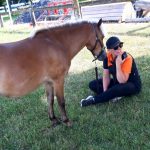 Pause mit Pony auf der Wiese