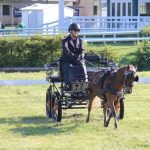 Kutschfahrt mit Pferd