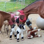 Kindergeburtstage mit Ponys