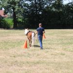 Training mit dem Pony