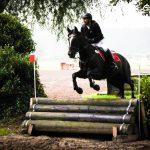 Hindernissprung mit Pferd